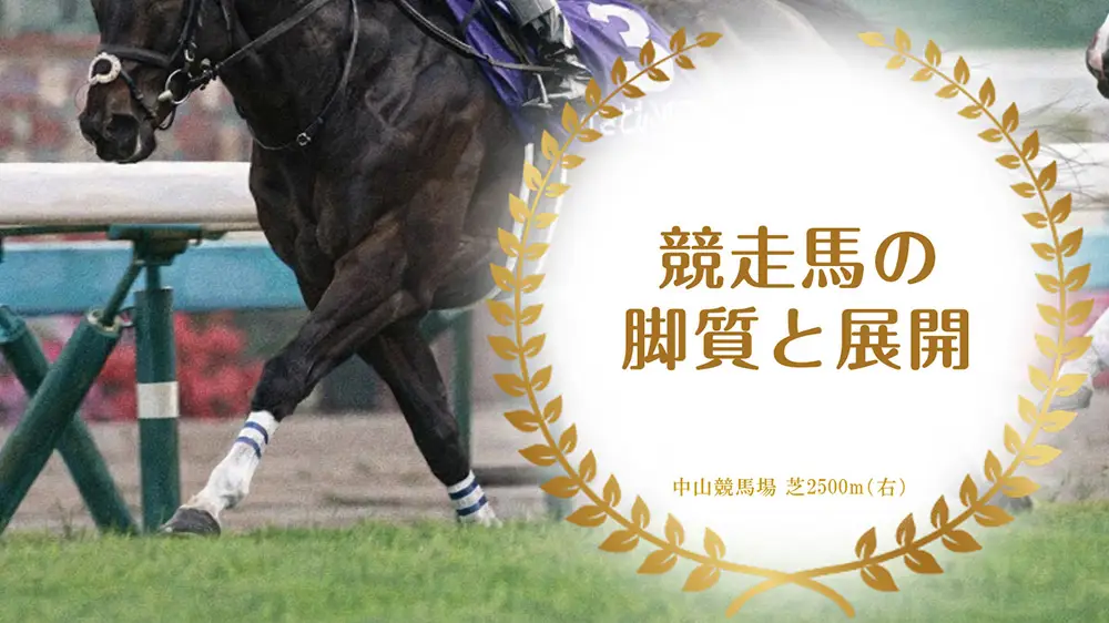 競走馬の脚質と展開